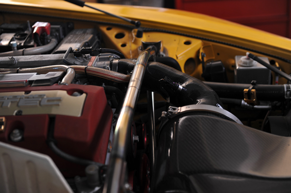 151101 kuma 2 DSC_9000.jpg